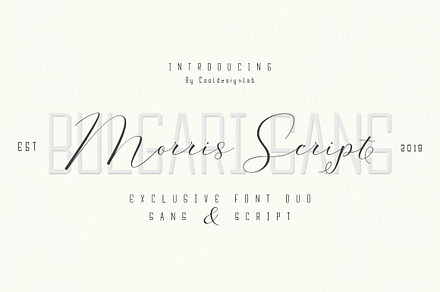 Morris Script | Font Duo, a Script Font by cooldesignlab