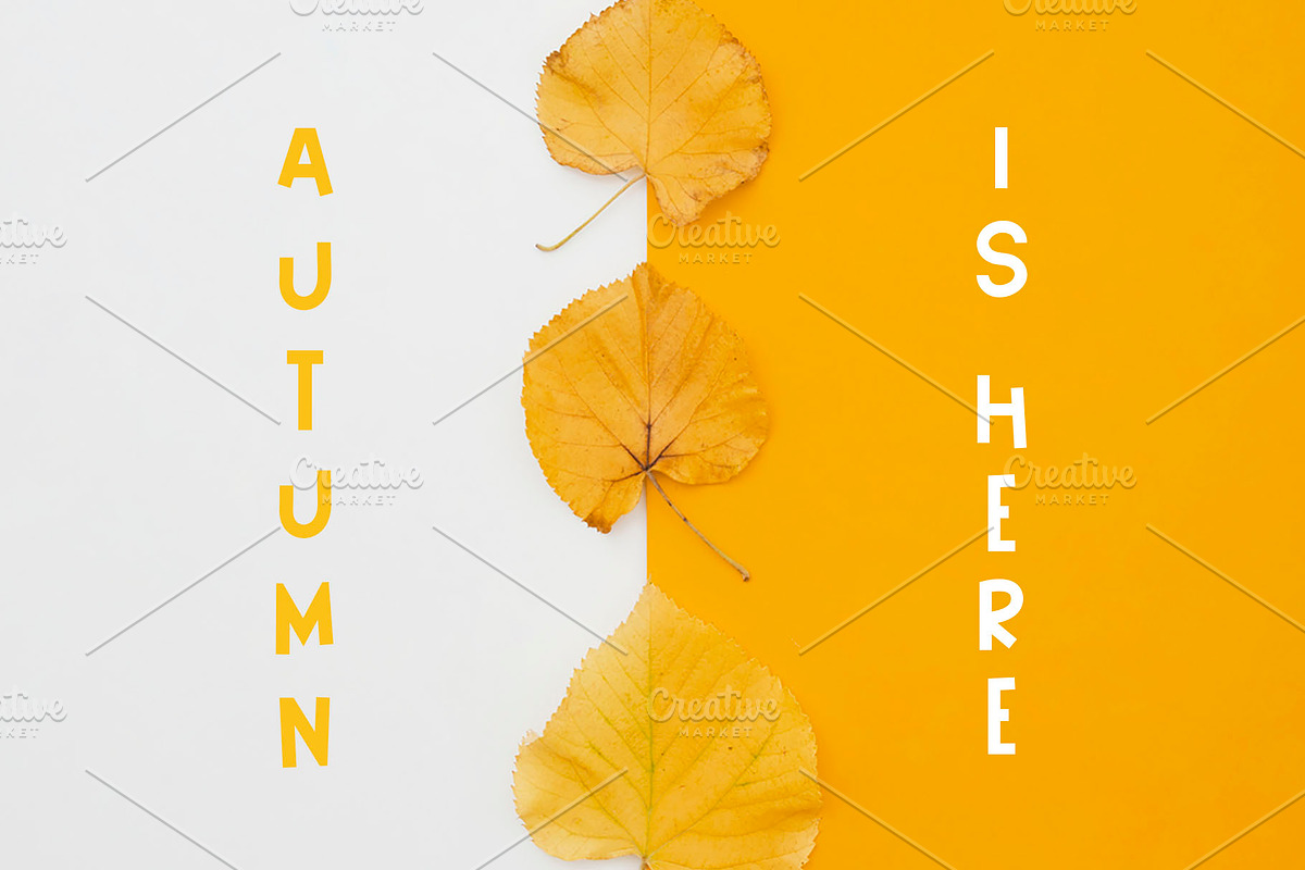 Happy Pumpkin Font preview 4