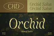 Belisda Vintage, a Sans Serif Font by Craft Supply Co. (Thumbnail 3 of 8)