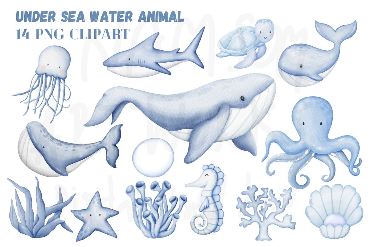 Under Sea Animal Watercolor Clipart., an Illustration by Dstudio (Photo 1 of 4)