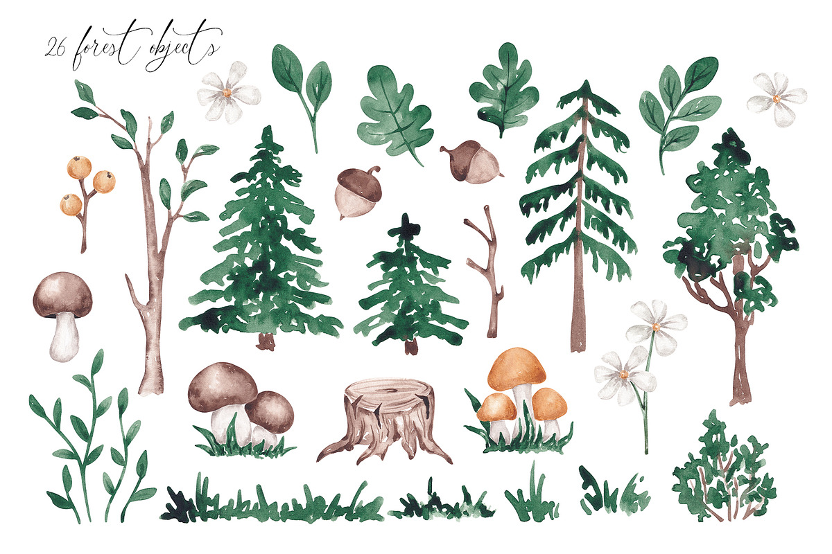 Woodland animals clip art, an Animal Illustration by SirenaArt (Photo 4 of 11)