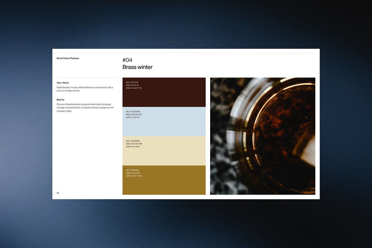 Brand Colour Playbook for Designers, a Palette Add-On by Charter 77 (Photo 2 of 6)