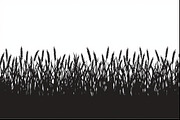 Rustic Wheat Field Vector Borders, an Illustration by hafijul (Thumbnail 8 of 9)