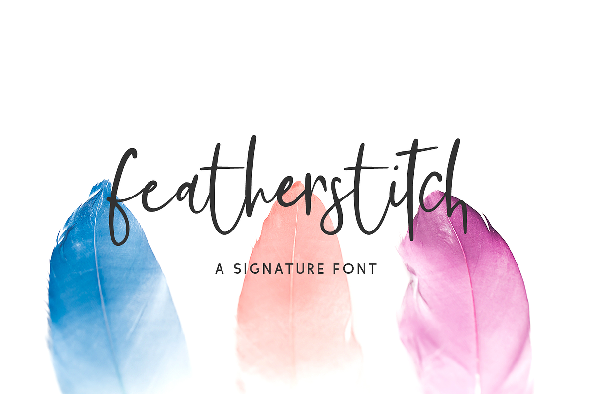 Featherstitch Script, a Script Font by Beck McCormick (Photo 1 of 10)