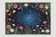 Wildflower Celestial Bundle, an Illustration by Amazin_art (Thumbnail 10 of 11)