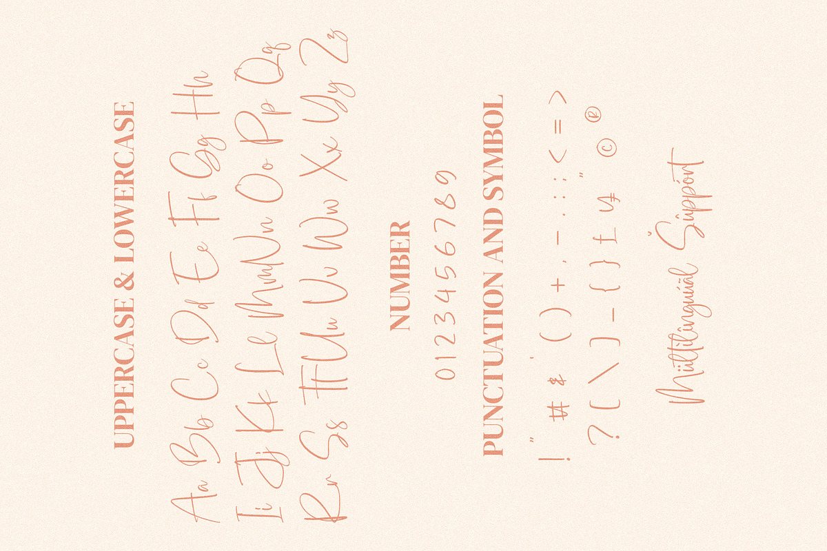 Dialog Sheila, a Script Font by Integritype Studio (Photo 9 of 11)