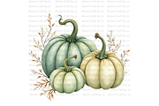 Sage Green Pumpkins, a Decorative Illustration by Bloom Craft Creations (Thumbnail 2 of 12)
