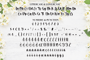 Sweet Jasmine | Script Font, a Handwritten Font by Scratchones (Thumbnail 7 of 9)