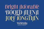 Longsile, a Serif Font by studiobasic (Thumbnail 8 of 9)