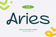 CS Aries – Display Sans Serif Font, a Sans Serif Font by Craft Supply Co. (Thumbnail 1 of 8)