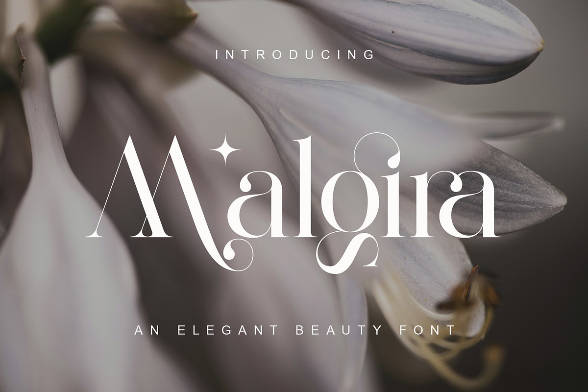 Malgira Modern Ligature Serif, a Serif Font by Alfinart (Photo 1 of 9)