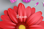 Lovely Things Scene Generator, a Product Mockup by mysuperproject (Thumbnail 3 of 9)