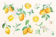 Juicy Lemon. Watercolor set, a Food Illustration by Tata Pilip (Thumbnail 2 of 7)