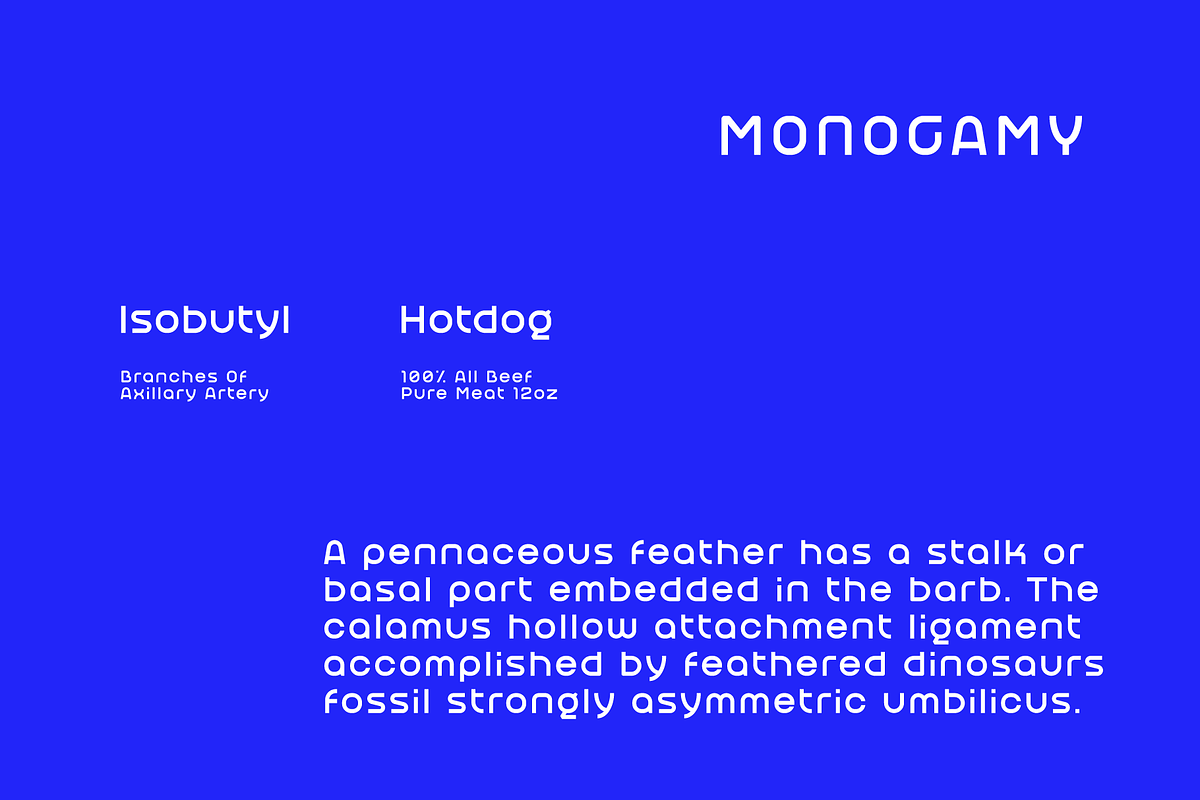 Regfa, a Sans Serif Font by baqoos (Photo 2 of 5)
