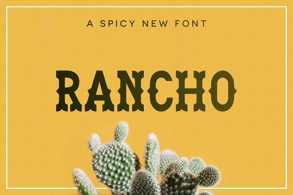 Deluxe Font Bundle + Bonuses, a Script Font by Flycatcher Design (Photo 7 of 11)