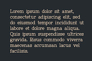 Rymor Display Font, a Serif Font by Webhance Studio (Thumbnail 8 of 8)
