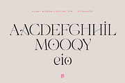 GLAMY - Ligature Rich Serif, a Serif Font by Ivan Rosenberg (Thumbnail 12 of 13)