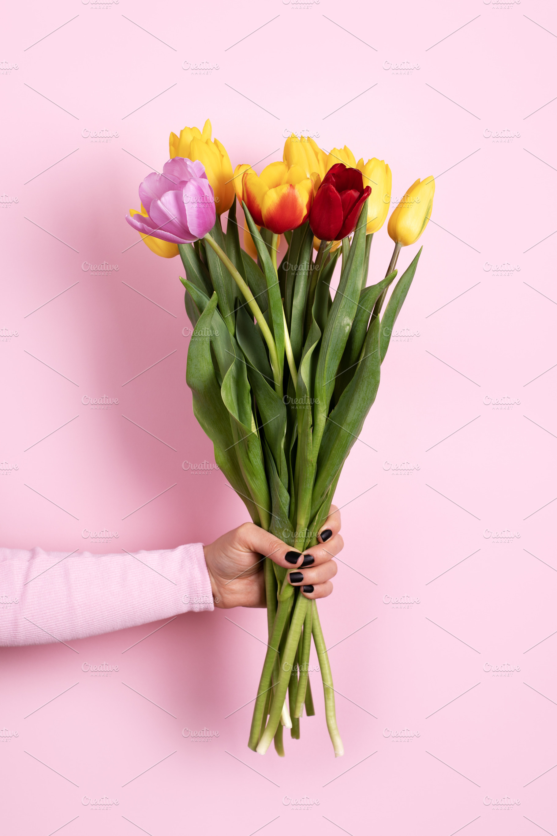 Hand holding a vibrant bouquet of tulips in red, yellow, and pin, a Holiday Photo by Ales Munt