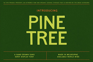 Pine Tree - Hand Drawn Sans