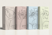 Minimalist Botanical Drawings, an Illustration by amber&ink (Thumbnail 5 of 5)