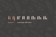 Davoa - Elegant Stencyl Typeface, a Serif Font by AlienValley (Thumbnail 2 of 9)
