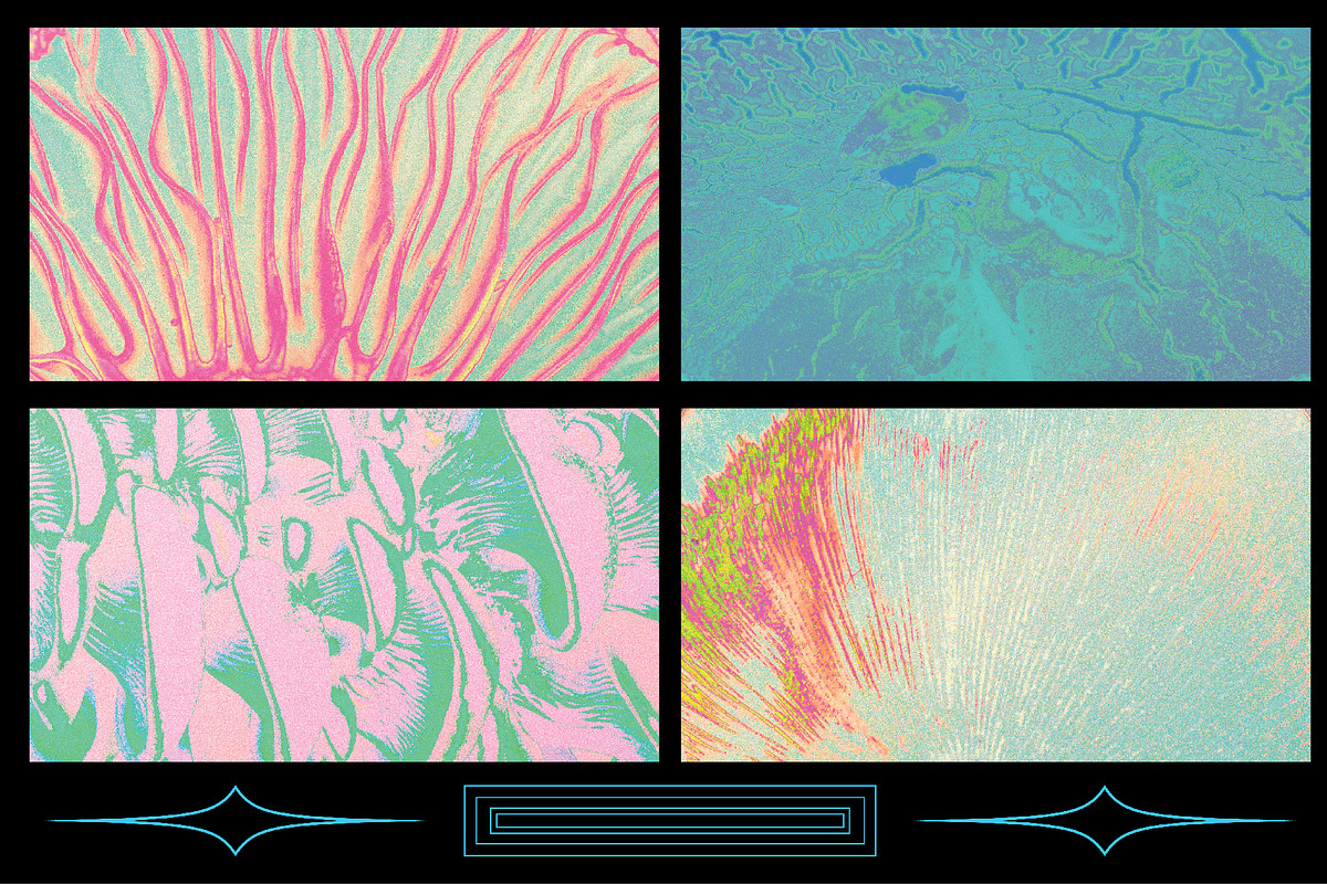 Fungi Textures, a Texture Graphic by Kapoor Design Empire (Photo 7 of 8)