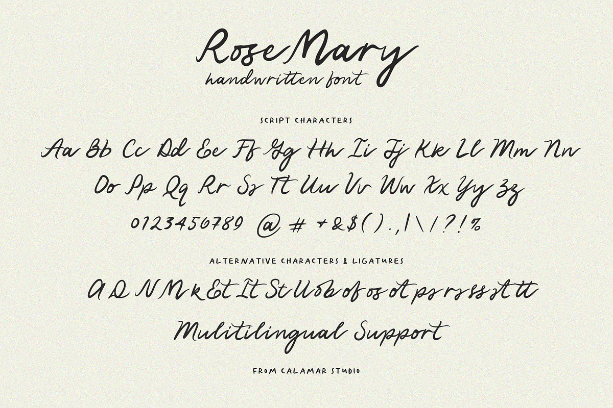 Rose Mary Handwritten Wedding Font, a Script Font by Calamar Studio (Photo 17 of 18)