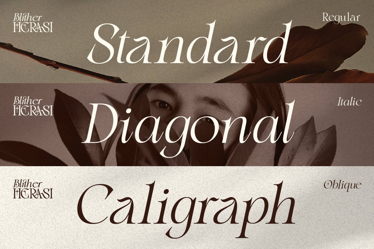Blither Herasi - Elegant Serif, a Serif Font by Burntilldead (Photo 4 of 12)