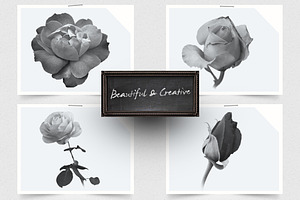 Lush Roses Photoshop Brushes