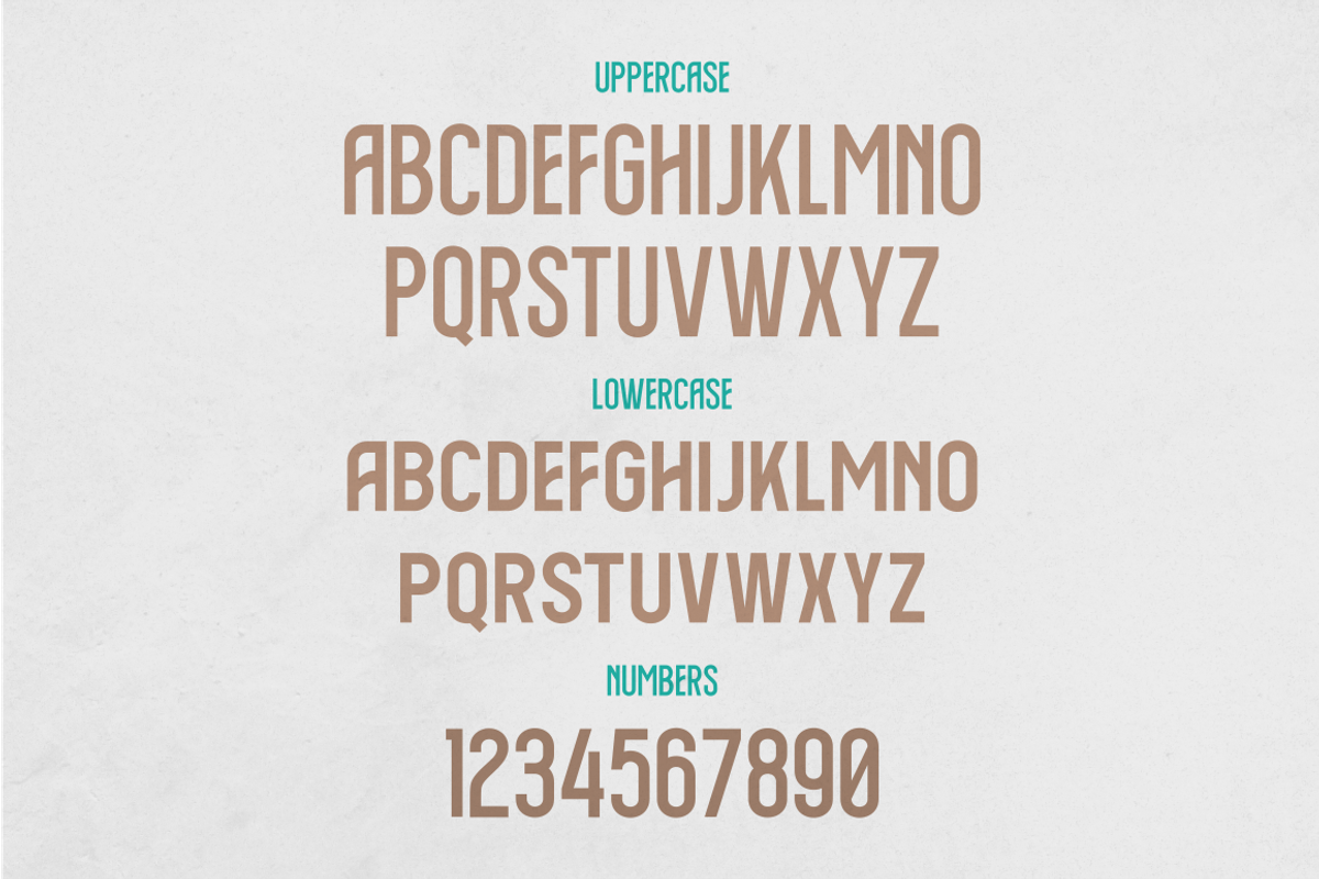 ROUNDLANE, a Serif Font by Bagerich Type Foundry (Photo 3 of 6)