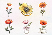 Summer Poppy Flowers Clipart, an Illustration by CreationArt (Thumbnail 3 of 9)