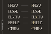 Gavona Elegant - Modern Logo Font, a Serif Font by Nirmana Visual (Thumbnail 14 of 15)