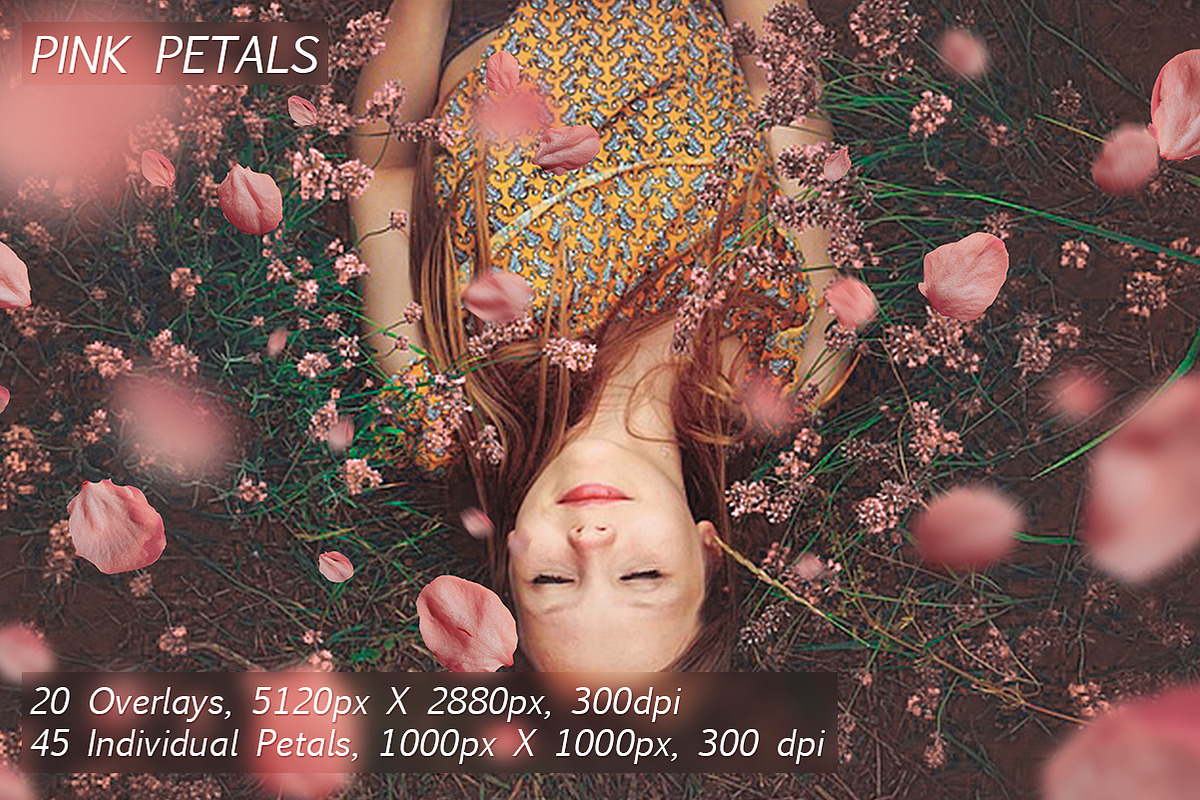 5K Petals Overlays, an Object Graphic by ArtPlanet (Photo 3 of 12)