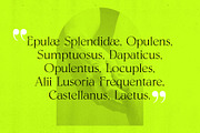 Paxxx | Lux serif, a Serif Font by Drawwwn (Thumbnail 5 of 12)
