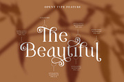 Figerly Modern Serif Font, a Serif Font by RantautypeStudio (Thumbnail 7 of 15)