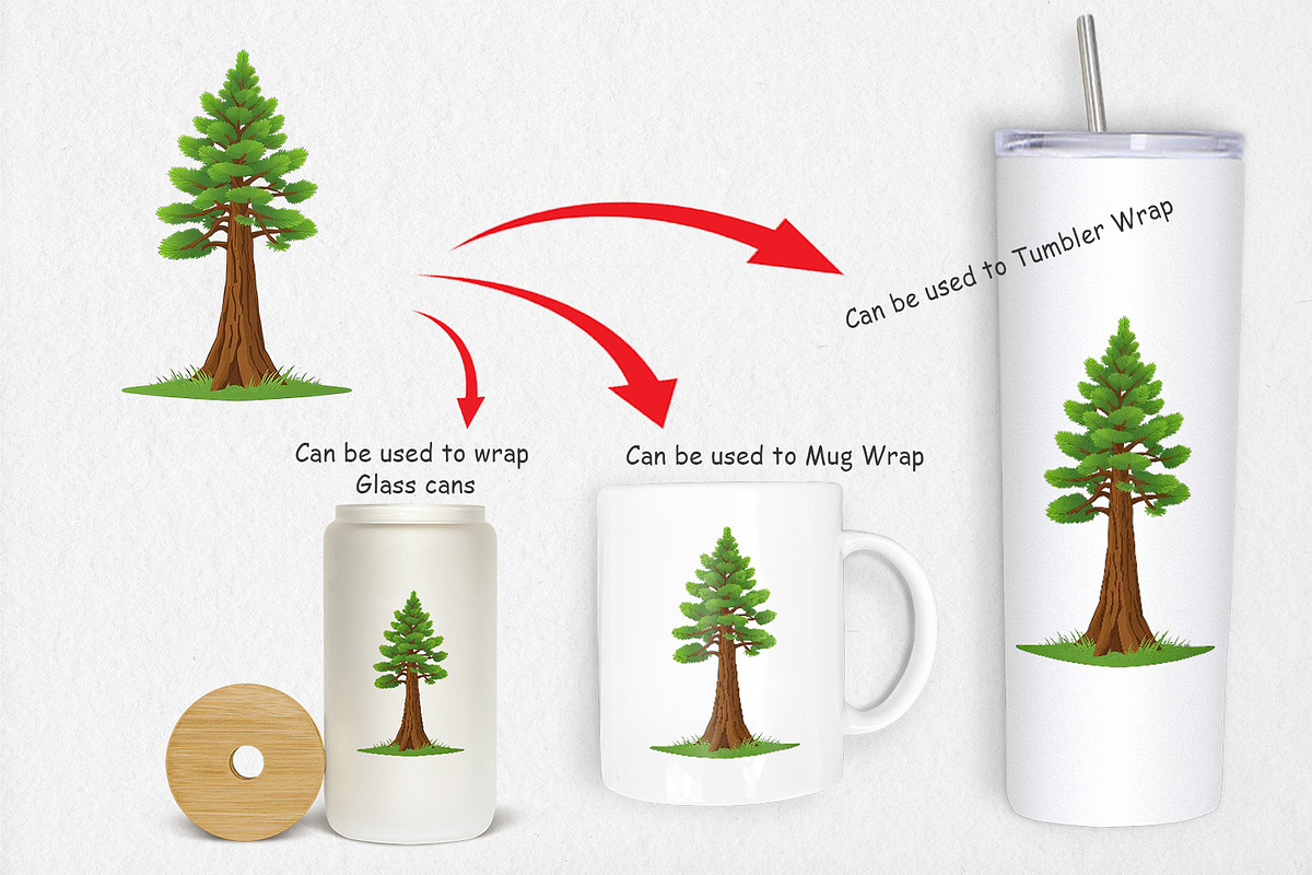 Tall Pine Clipart, a Graphic by Artnoy (Photo 4 of 5)