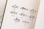 Set of vector outline fish icons, an Animal Illustration by Tettygreen (Thumbnail 2 of 3)