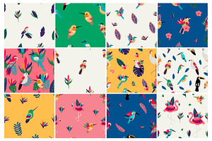 Exotic Birds Collection