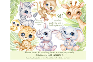 Safari Jungle Baby Animals Clipart