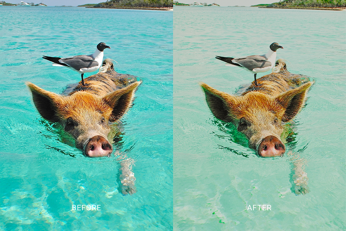 Tropical Lightroom Mobile Preset, a Preset Add-On by TheFisherCreative (Photo 4 of 10)