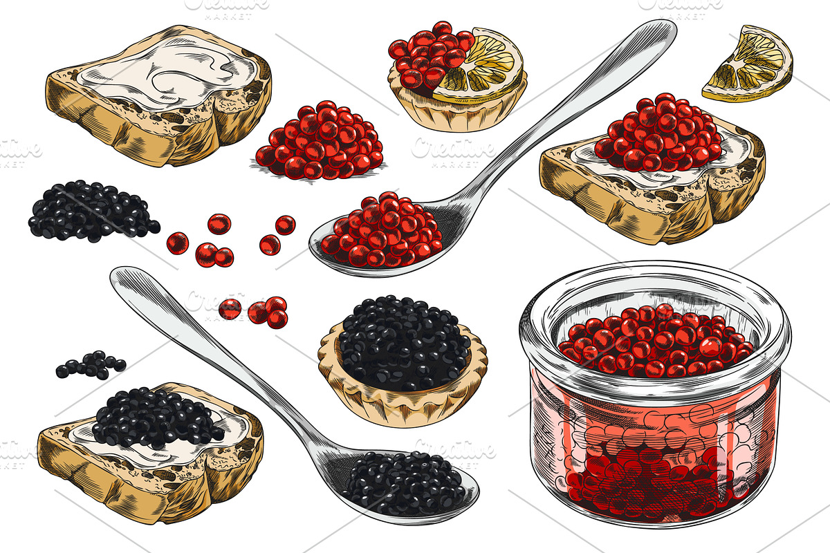 Vector set of hand drawn red and, an Object Illustration by Sabelskaya