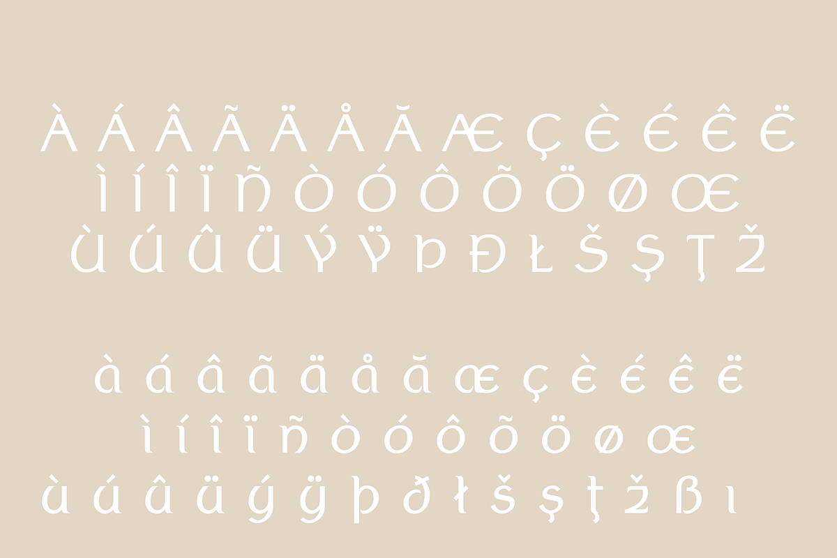 Tarin Sans, a Serif Font by Creative Foundry (Photo 8 of 8)