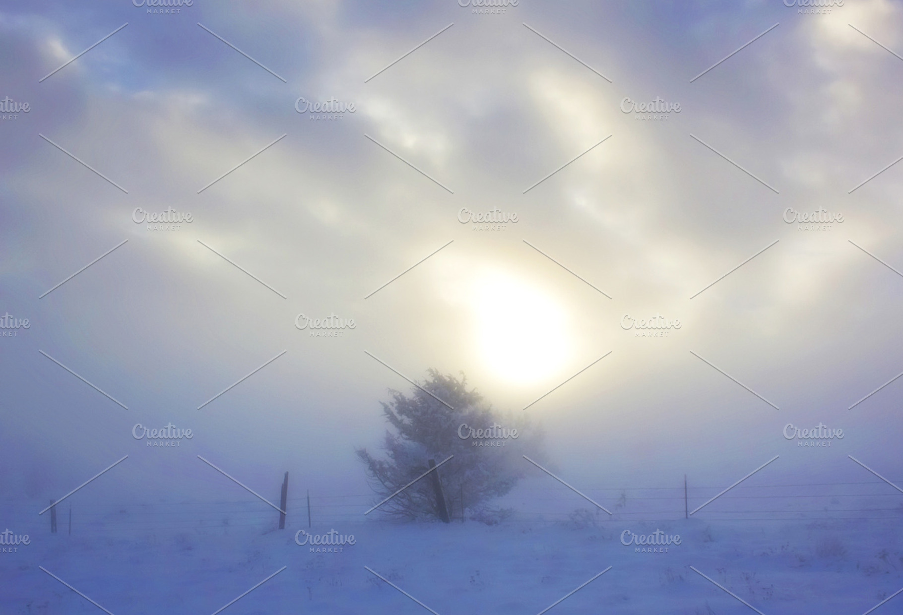 Winter landscape containing nature, picture, and image