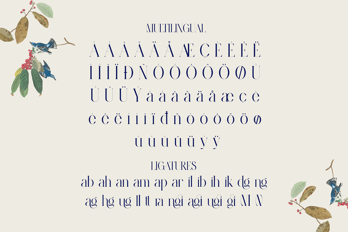 Magira Modern Elegant Serif Font, a Serif Font by Alfinart (Photo 9 of 10)
