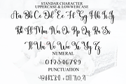 Starlight, a Handwritten Font by FreshTypeINK (Thumbnail 3 of 8)