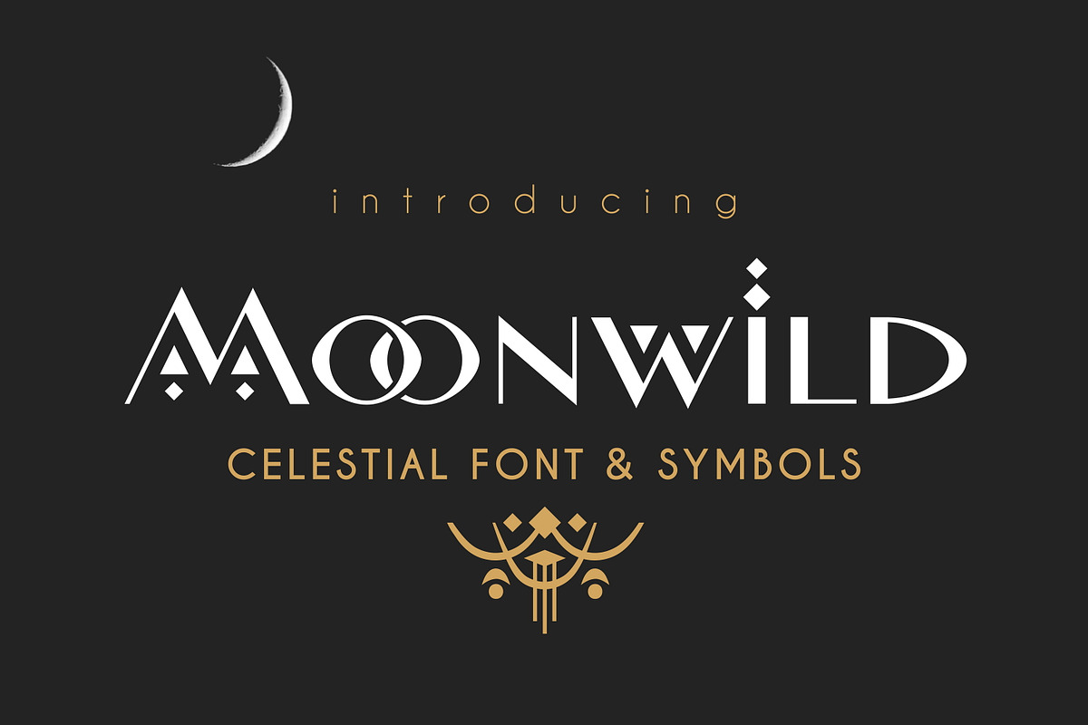 Modern Display Font Bundle, a Sans Serif Font by Struvictory.art (Photo 20 of 31)