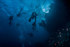 Divers in the blue containing divers, lifestyle, and diving