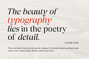 Trefally - Elegant Editorial Serif, a Serif Font by Attract Studio (Thumbnail 2 of 22)