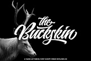 Buckskin, a Script Font by HTLNS.co (Thumbnail 1 of 8)
