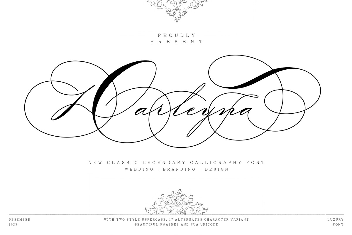 Darleyna, a Script Font by JamalCreativeStudio (Photo 1 of 12)